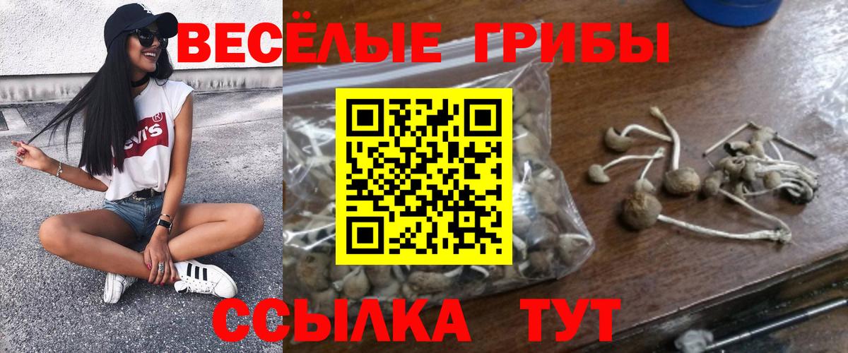 Нововоронеж  Псилоцибиновые грибы Magic Shrooms  Вход с VPN 